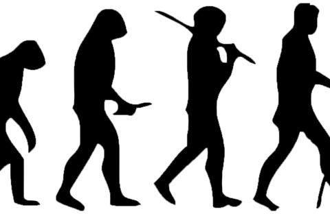 Die große Schwachstelle der Evolutionstheorie