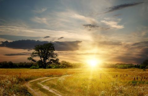 Sonnenschein für die Seele