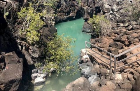 Auf Galapagos entsteht ein Kreationismuszentrum